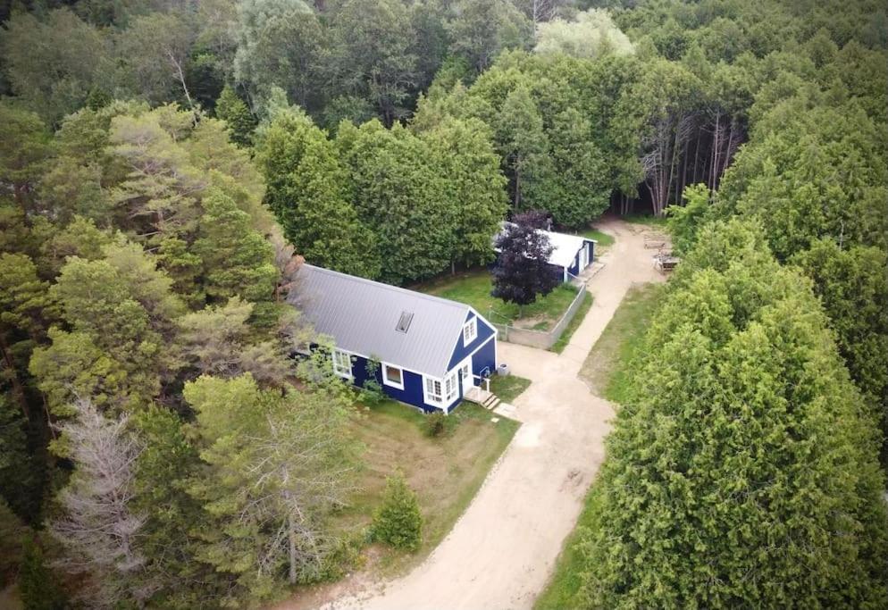 Flesherton Cottage Retreat On 11 Acres מראה חיצוני תמונה